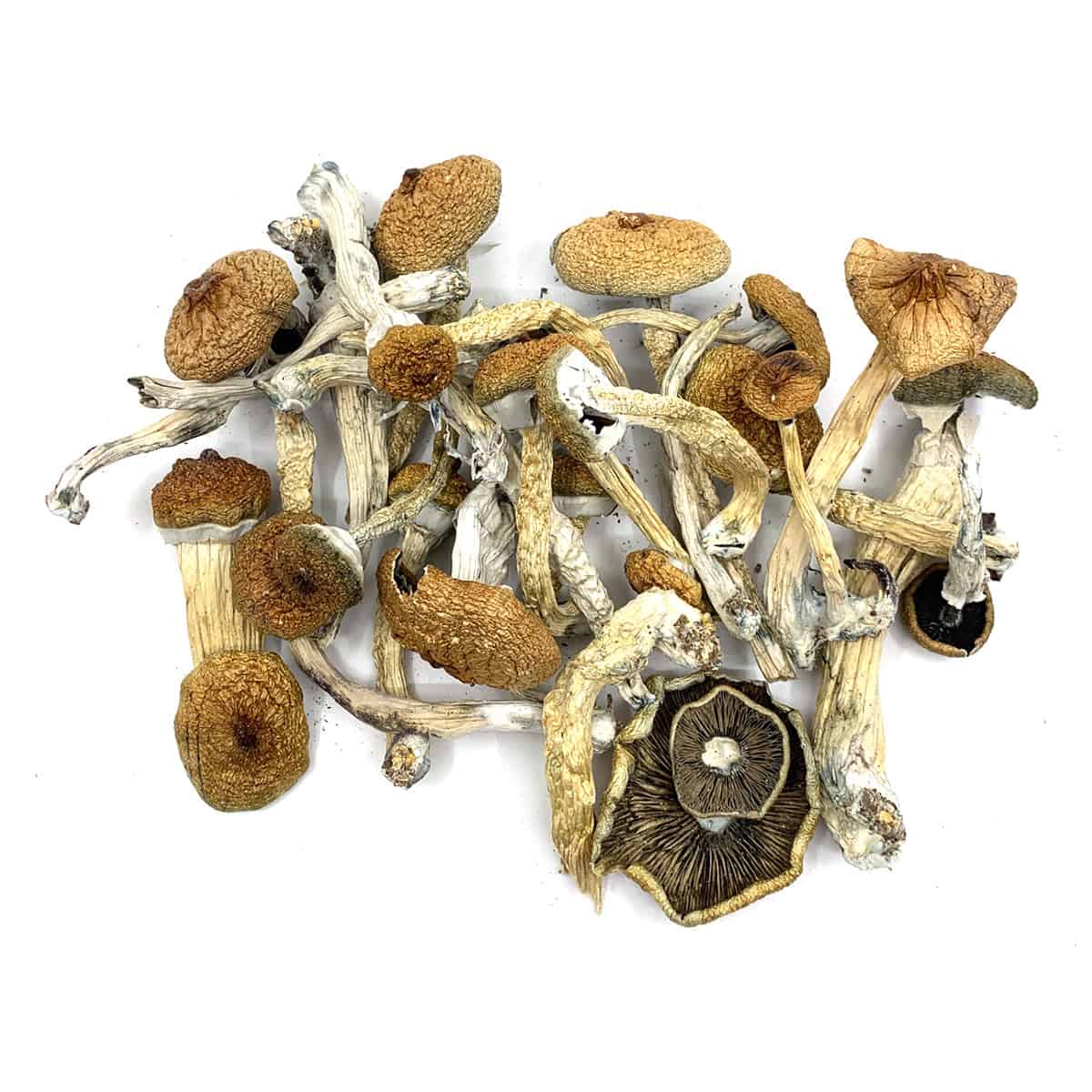 bluemeanies-bulk